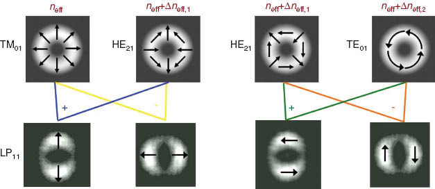 Figure 4 Modal intensity patterns for the first higher order mode group; (top row) simulated true vector representation of the eigenmodes; (bottom row) the resultant, experimentally measured unstable intensity patterns due to mode mixing between the top row of eigenmodes.