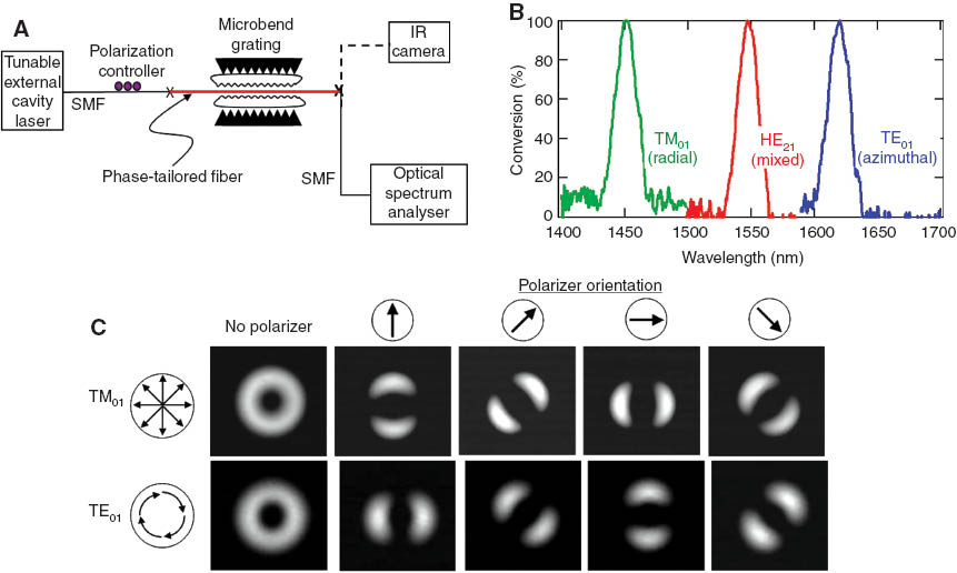 Figure 6 (A) Experimental setup – the ring fiber is spliced to SMF (bottom branch) for spectral measurements shown in (B), or cleaved and imaged on camera (top branch) for measurements shown in (C); (B) Measured grating resonance spectra for coupling from fundamental LP01 mode to desired antisymmetric mode – efficiency >99.8%; (C) Experimentally recorded near-field images for the radially polarized (TM01) mode (top) and azimuthally polarized (TE01) mode (bottom). Clean annular intensity profile for both. Image rotation with polarizer in beam path consistent with expected polarization orientation for the two modes, and confirms the polarization state of the two beams.