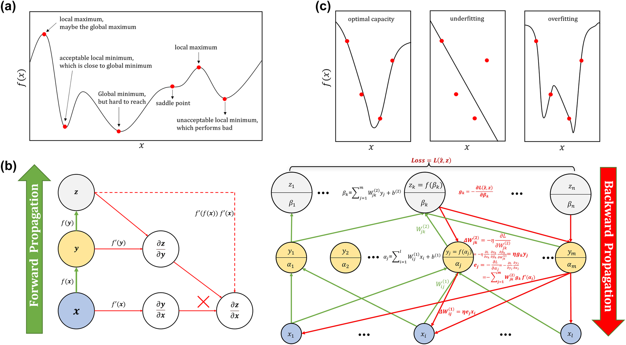 Figure 3: 
Important mathematical foundation of ML. (a) Different types of critical points. A local minimum means the value of f(x) is less than all adjacent points, while a local maximum is just the opposite. And there are both larger and smaller neighboring points around saddle point. (b) Computational graph of back propagation algorithm. The left one is a symbolic representation, which just show how to describe the calculation of derivative by symbols. The right one is a more general algorithm flow chart. In order to ensure the clarity of the image, we omitted some of the connected arrows. The green arrows are forward propagation to calculate output z through input x, and the red ones are back propagation, which calculate the gradient and flow them forward and update parameters. (c) Different models to fitting samples. Underfitting model can’t capture the correct information, while overfitting model provides more false information.
