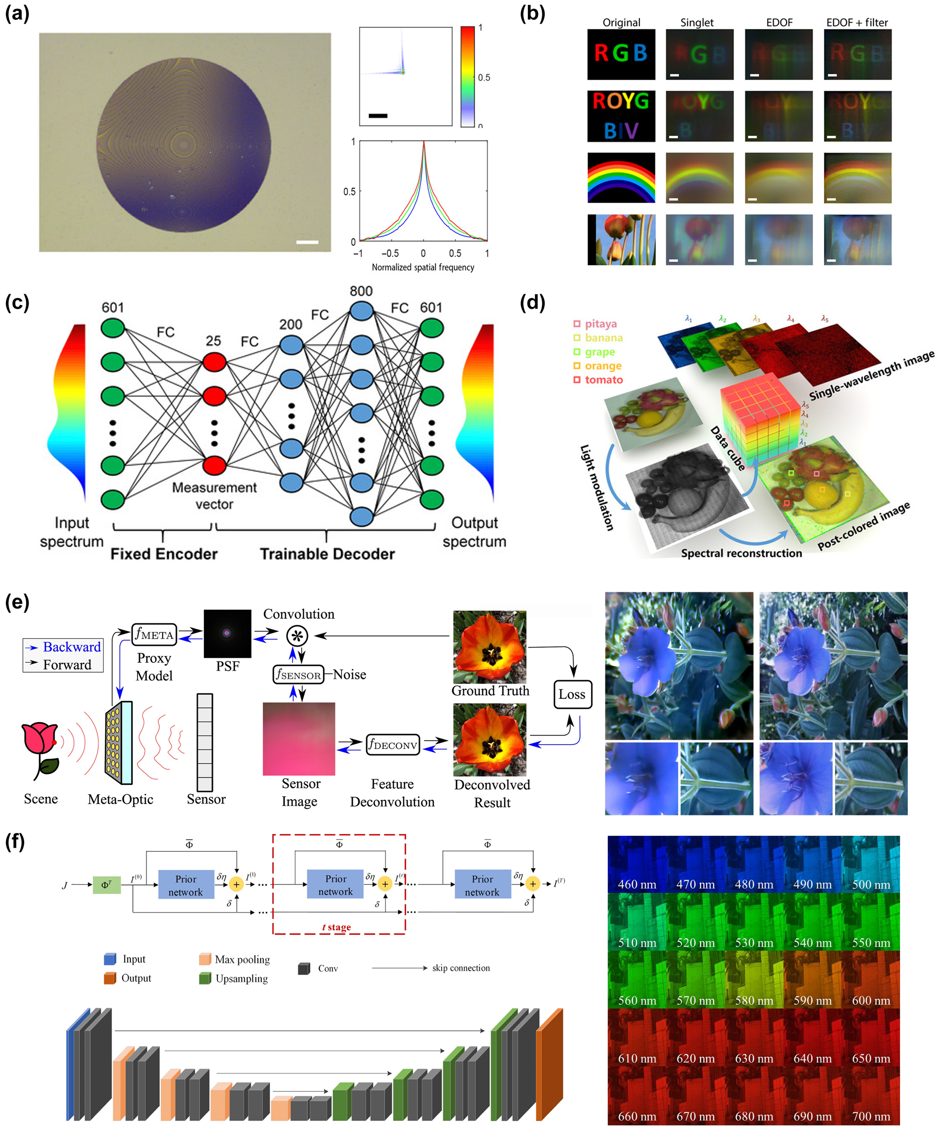 Figure 9: 
AI-assisted high-quality imaging. (a) EDOF metalens can extend sufficient depth of focus using a cubic phase mask. On the sensor, we can see that the green light is defocused in this plane. The MTFs of EDOF metalens are similar for all wavelengths and have higher cutoff spatial frequencies than red and blue metalens [207]. (b) Landscape image of text and colorful pattern under white light illumination captured by EDOF metalens and reconstructed by Wiener filter [207]. (c) Schematic diagram of the spectral encoder–decoder network [34]. (d) A 356 × 436 × 601 data cube of a plate of fruit spectral images is reconstructed from the metasurface modulated original image [34]. (e) The entire end-to-end imaging process is composed of a metasurface imaging process model and a neural deconvolution algorithm. The image on the right shows a blue flower reconstructed by the proposed neural nano-optics [41]. (f) The combination of deep neural network and hyperspectral image prior network forms the overall architecture of hyperspectral image reconstruction. With the help of this network, the experiment reconstructed hyperspectral images of 25 spectral channels from 460 nm to 700 nm. Reproduced from [208]. Copyright 2023, Elsevier.
