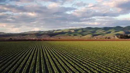 farm landscape