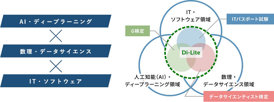 Di-Liteとは