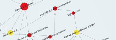 ELISA Kits for Signal Transduction