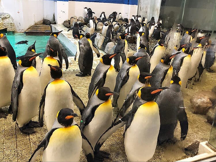 水族館エリアの「マリンワールド」は圧巻！