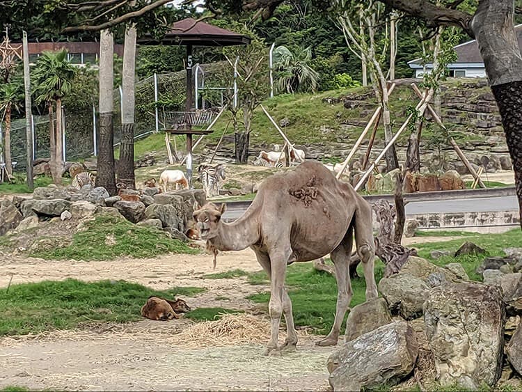 敷地が広大なのでカードが便利