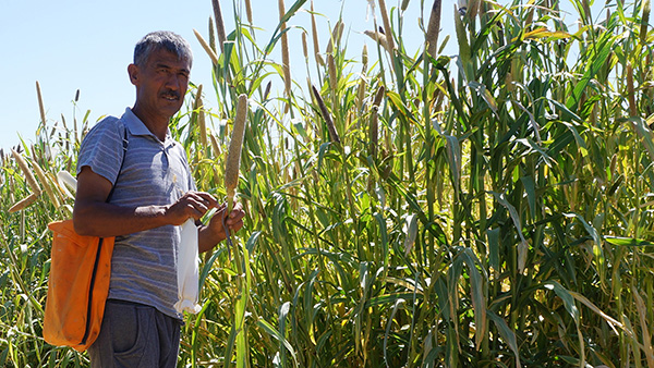 fter years of soil degradation in western Uzbekistan, smallholder farmers like Adyl have turned to climate-smart techniques to tackle the impacts of drought.