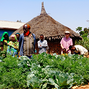 Resilience Enhanced through Adaptation, Action-learning and Partnerships (REAAP): (for climate adaptation/climate smart agriculture theme): This photo shows Mr. Muktar in front of his keyhole garden at his homestead in Belina Kebele, Fedis Woreda, Oromia Region. The garden is producing vegetables for household consumption. This activity will increase households’ resilience to climate change and contribute to food and nutrition security. The photo was taken by CRS REAAP staff during field monitoring visit on August 14, 2015. REAAP Implementer and partners are: Catholic Relief Services (CRS), Ethiopian Catholic Church Social Development Coordination Office of Harar (ECC-SDCOH), Handicap International (HI) and Catholic Organization for Relief and Development Aid (Cordaid)