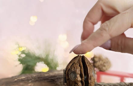 Fairy Houses in Wallnuts Shells