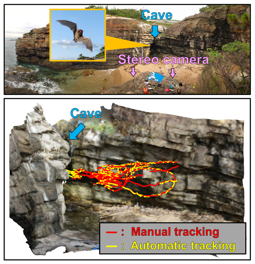 Stereo-camera recording and automatic tracking