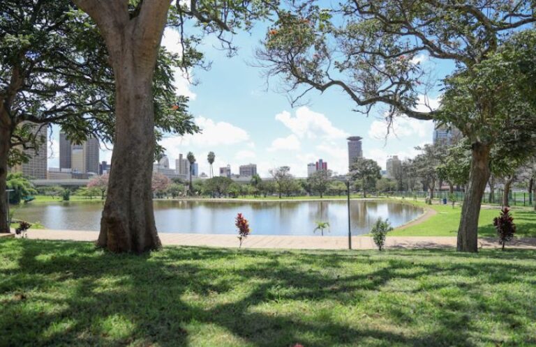 Sakaja Reveals Plans For ‘Sherehe Zone’ in Uhuru Park