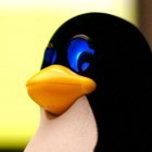 Kernel: Linux 4.6 mit neuem Dateisystem OrangeFS