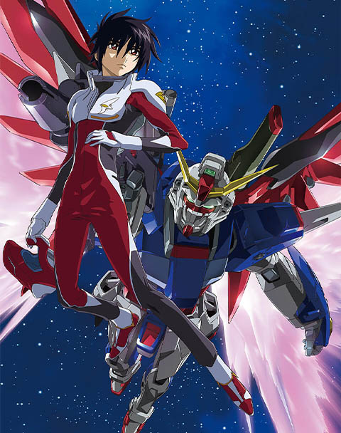 機動戦士ガンダムSEED DESTINY スペシャルエディション HDリマスター Blu-ray