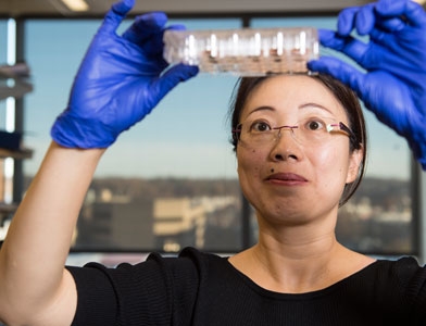 A female researcher inspects her work