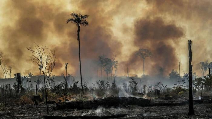 A forest fire rages in Santo Antonio do Matupi, southern Amazonas state, Brazil, August 27, 2019.