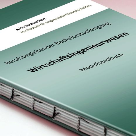 berufsbegleitend, Wirtschaftsingenieur, Studium, Modulhandbuch, Vorlesungsverzeichnis, Weiterbildung