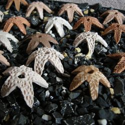 set of 3 ceramic star shrimp houses. aquarium accessories