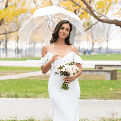 transparent totes clear umbrella