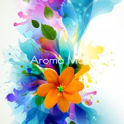 aroma melts