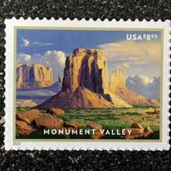 100 monument valley 2022 unused us forever first class flowers wedding invitation celebration anniversary env