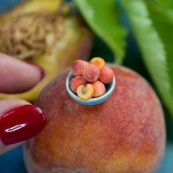 tutorial miniature peaches with polymer clay | miniature food tutorial | dollhouse miniatures