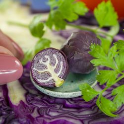 tutorial miniature red cabbage cane with polymer clay | miniature food tutorial | dollhouse miniature