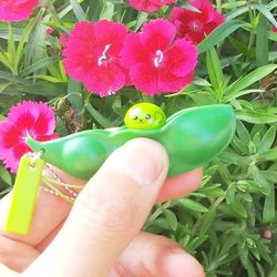 edamame pea pod keychain fidget toy