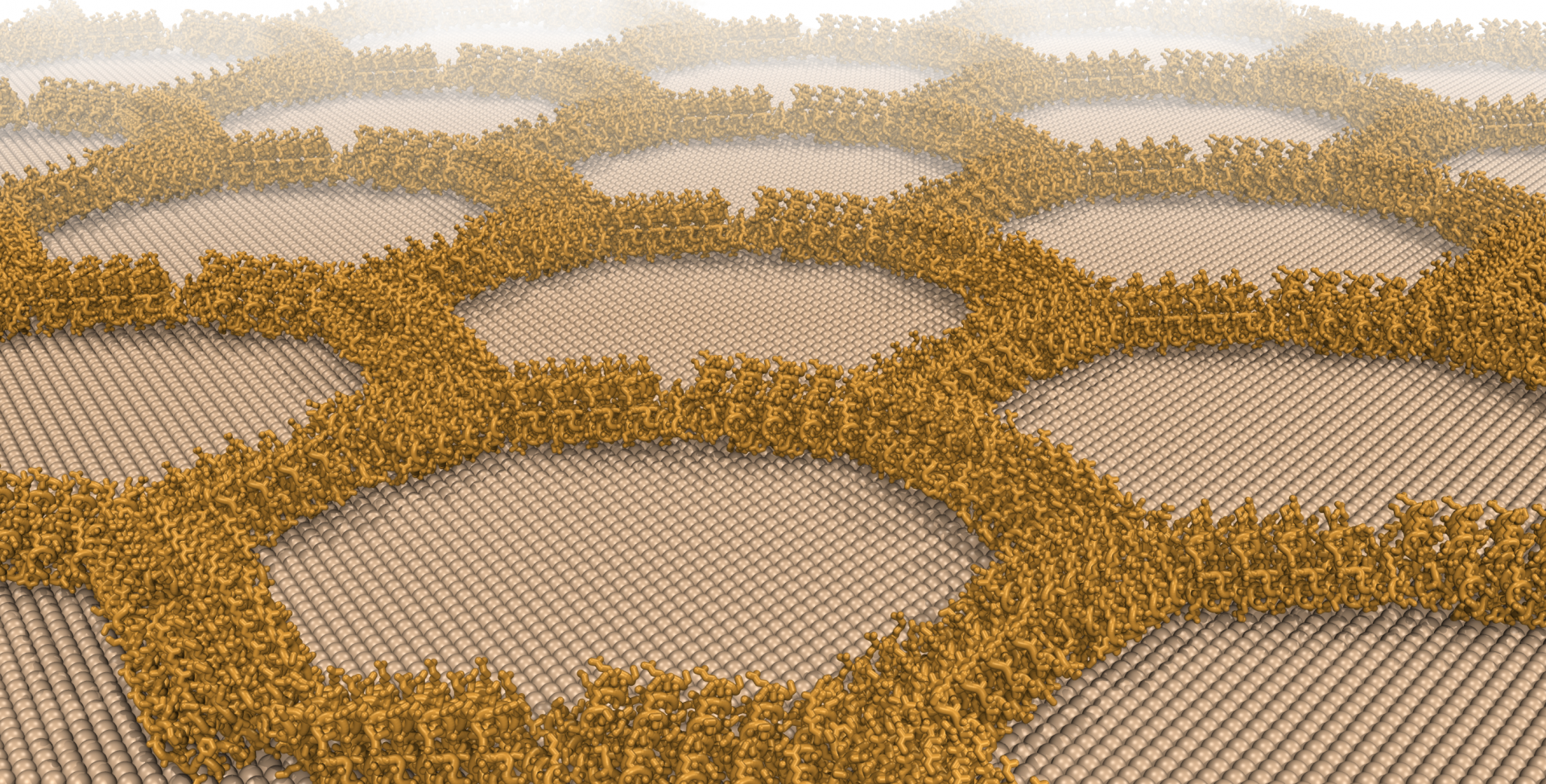 Protein arrays on mineral surfaces