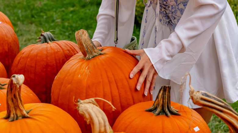 woman choosing orange pumpkin