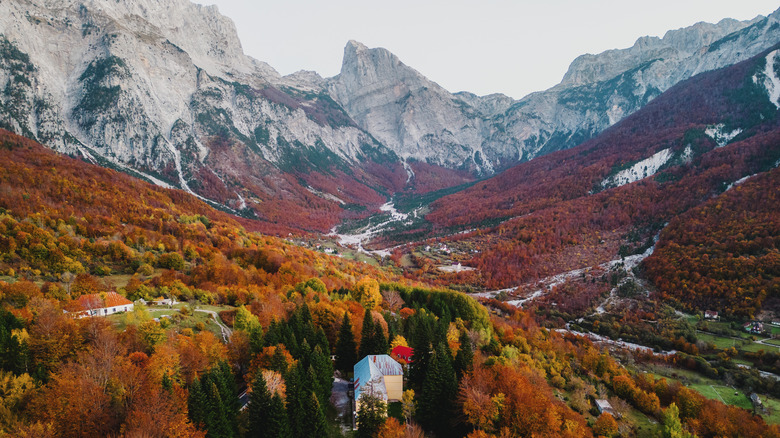 Forest-covered valley and mountain peaks