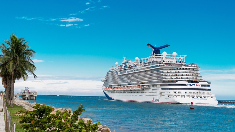 cruise ship off tropical beach