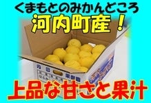 【生産者限定】熊本県河内町産「はるか」5�s