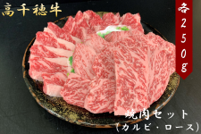 _高千穂牛 焼肉セット（カルビ・ロース）