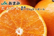 JAあまみ／たんかん／良品