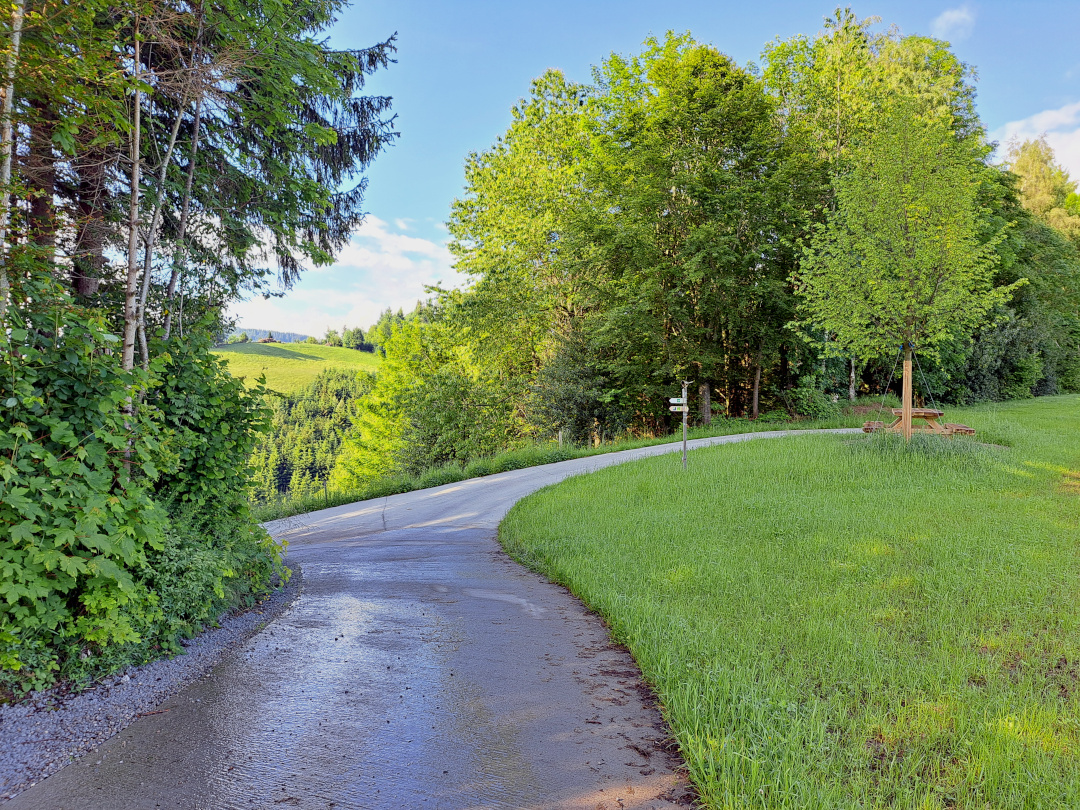 a sharp left turn wih a seep decline, with a signpost