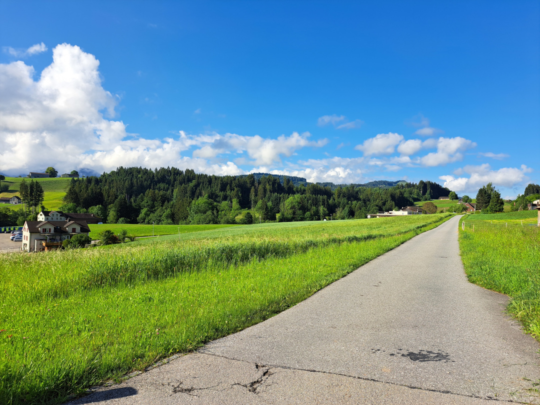 a straight road through a grass field