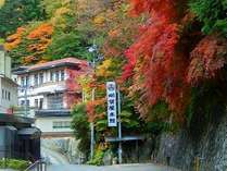 首都圏に近い秘湯　明賀屋（みょうがや）本館