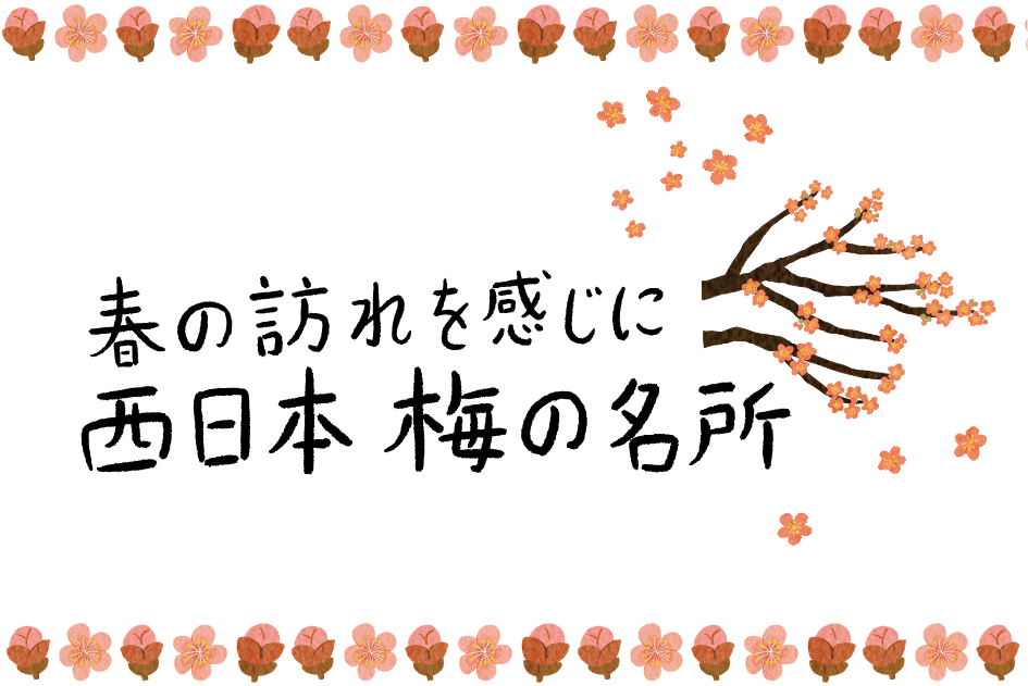 新規ウィンドウで電子パンフレットが開きます