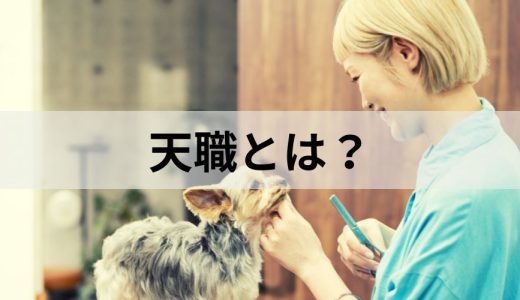 天職とは？ 見つけ方・天職と言える仕事の条件をわかりやすく