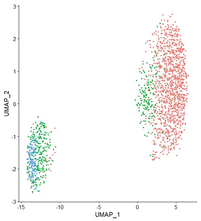 Graph: result of analyzing nuclei of individual pollen grains in joint research by Takara Bio and KeyGene