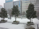 朝の神奈川の雪景色