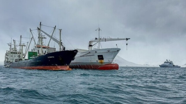 Russian fishing vessel transferring catch