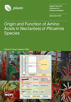 Issue Cover