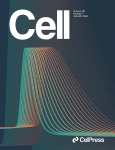 Cell