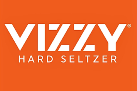 vizzy logo