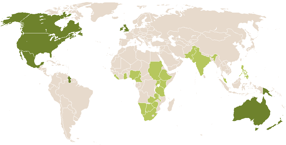 world popularity of Hewie