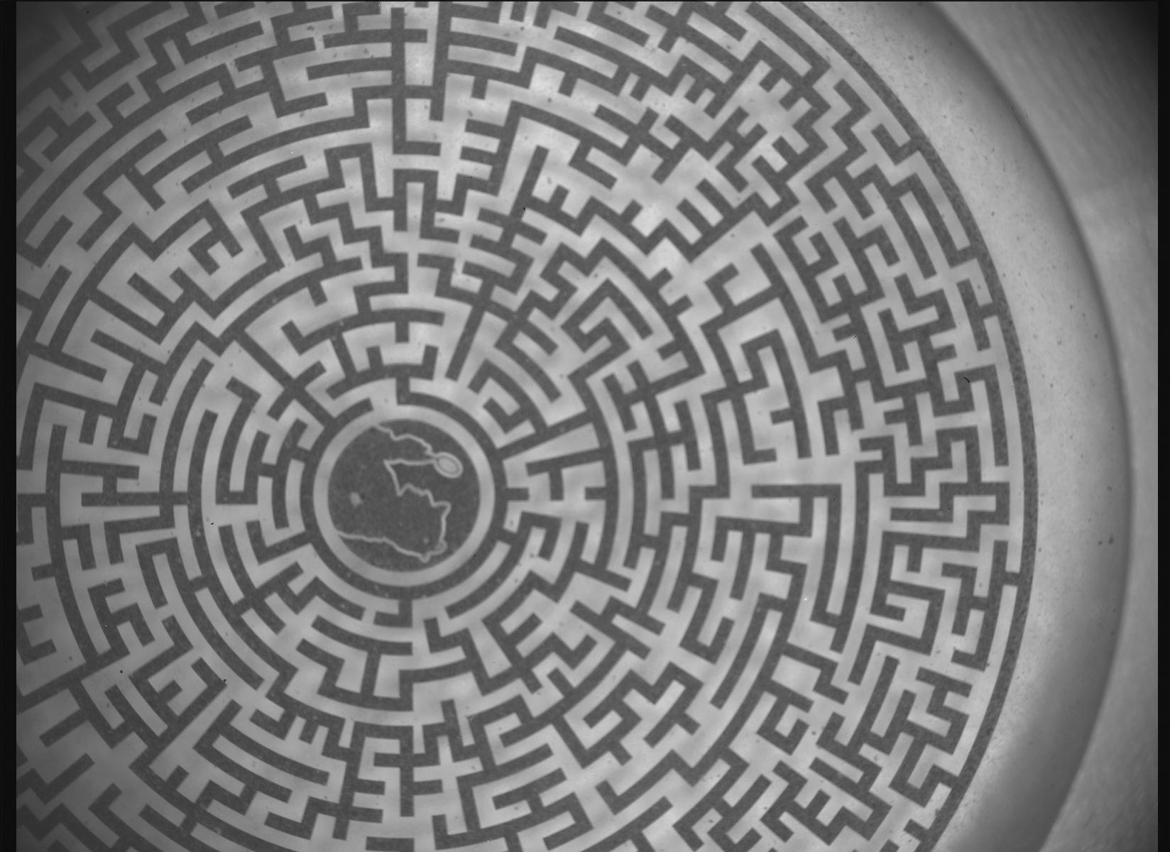 A black and white image of a circular labyrinth. A silhouette of Sherlock Holmes holding a magnifying glass is at the center of the labyrinth.
