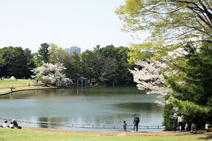 多摩中央公園