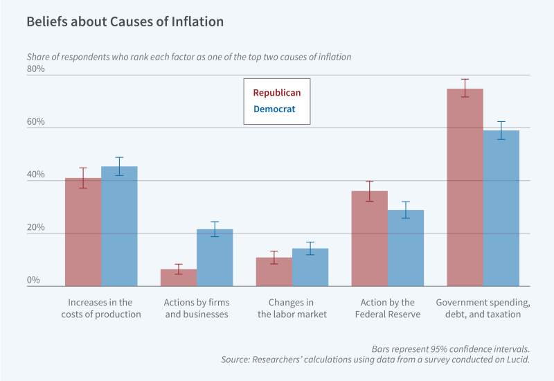 Public Beliefs about Inflation