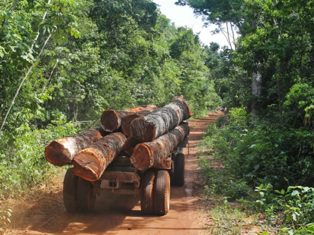 Truck driving away with lumber