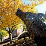 A copper wolf statue surrounded by golden trees in autumn.